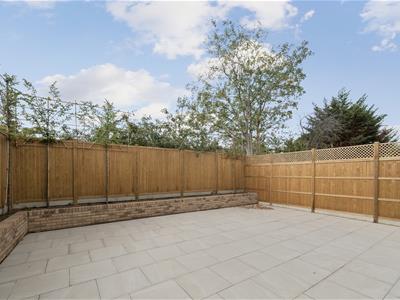 Picture 14